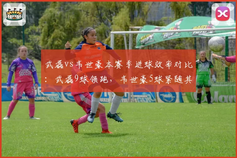 武磊vs韦世豪本赛季进球效率对比:武磊9球领跑,韦世豪5球紧随其后