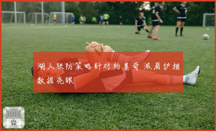 湖人联防策略针对约基奇 浓眉护框数据亮眼