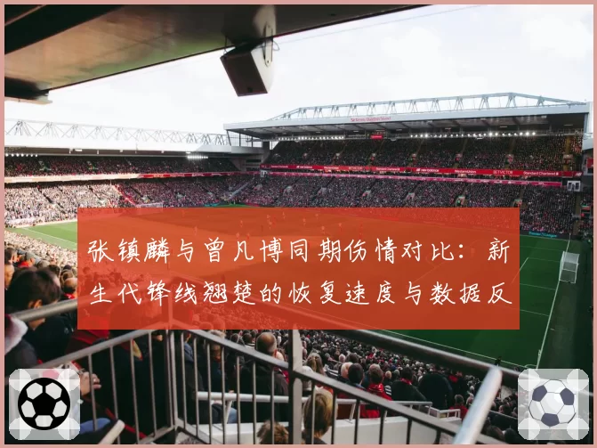 张镇麟与曾凡博同期伤情对比:新生代锋线翘楚的恢复速度与数据反弹
