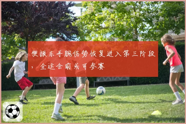 樊振东手腕伤势恢复进入第三阶段，全运会前或可参赛