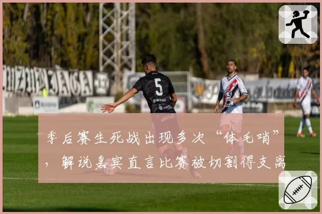季后赛生死战出现多次“体毛哨”，解说嘉宾直言比赛被切割得支离破碎