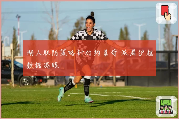 湖人联防策略针对约基奇 浓眉护框数据亮眼