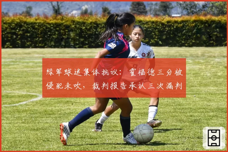 绿军球迷集体抗议：霍福德三分被侵犯未吹，裁判报告承认三次漏判