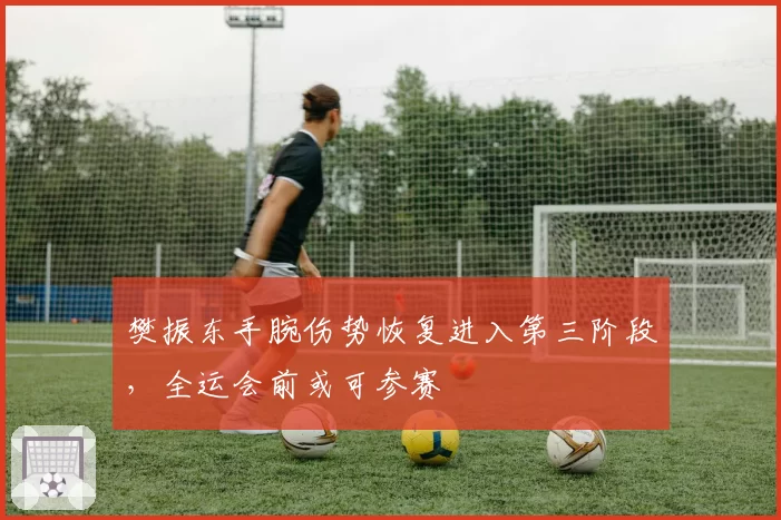 樊振东手腕伤势恢复进入第三阶段，全运会前或可参赛