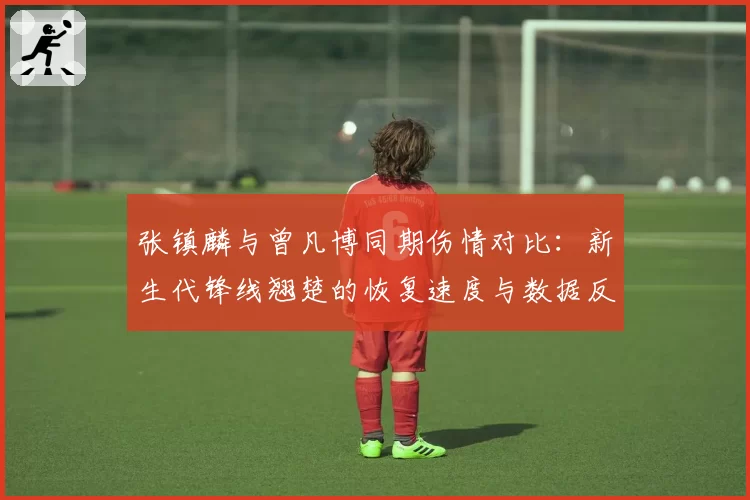 张镇麟与曾凡博同期伤情对比:新生代锋线翘楚的恢复速度与数据反弹