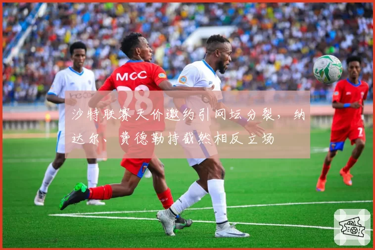 沙特联赛天价邀约引网坛分裂，纳达尔、费德勒持截然相反立场