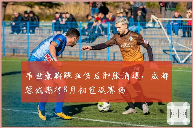 韦世豪脚踝扭伤后肿胀消退,成都蓉城期待8月初重返赛场