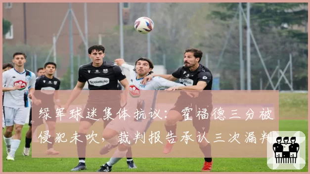 绿军球迷集体抗议：霍福德三分被侵犯未吹，裁判报告承认三次漏判